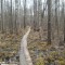 20160427_112637.jpg
