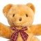 stockvault-teddy-bear133990.jpg
