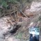 20170425_103718.jpg
